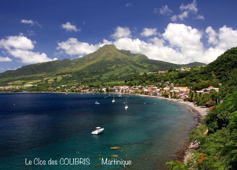 Lodge Colibris Piscine Privee Vue Panoramique Mer Et Montagne Pelee , 500 M Plage Dans Un Parc , Calme Assure Ideal Pour Decouvrir Le Nord Caraibes Ле-Карбе Екстер'єр фото