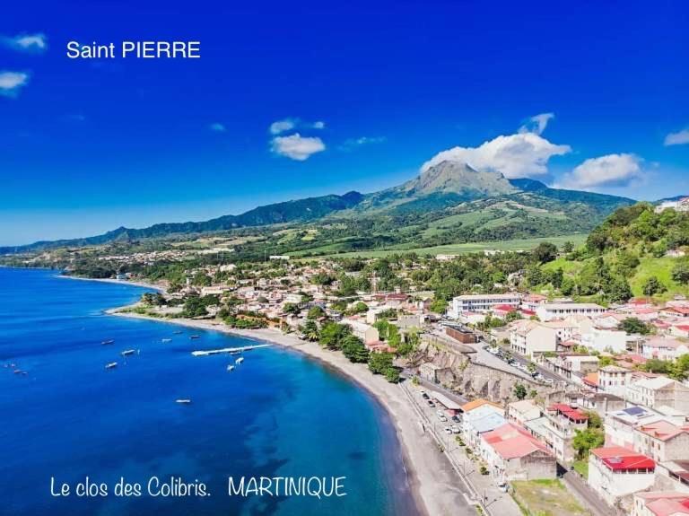 Lodge Colibris Piscine Privee Vue Panoramique Mer Et Montagne Pelee , 500 M Plage Dans Un Parc , Calme Assure Ideal Pour Decouvrir Le Nord Caraibes Ле-Карбе Екстер'єр фото